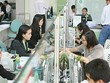 NVB: Kl99 nổ hũ sau soát xét sụt giảm mạnh